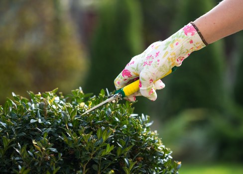 Tree Surgeons Norwood secure payment options with protected online checkout