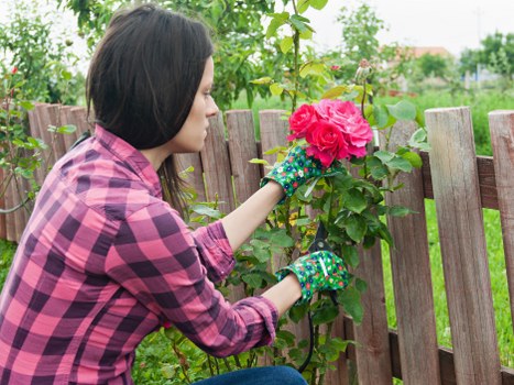 Worker reporting concerns through a confidential compliance process