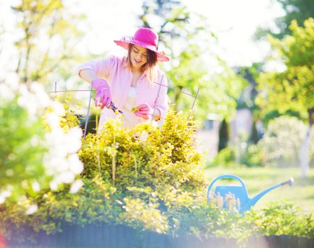 SSL encryption and safe payment processing for Tree Surgeons Norwood
