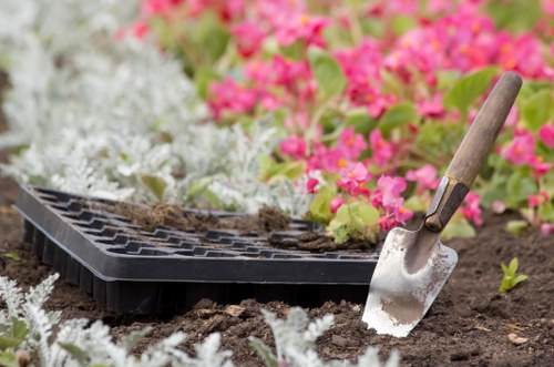 Tree pruning service details for Norwood homes and commercial sites